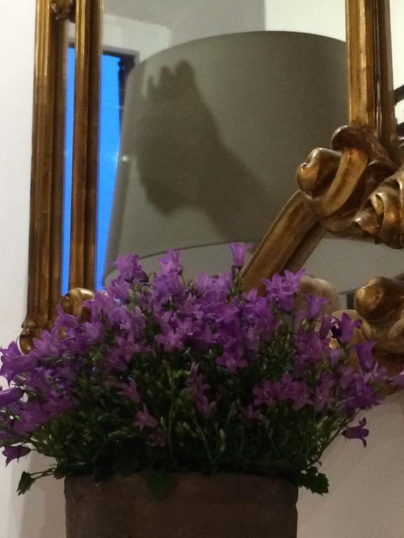 Le Stanze Del Cardinale Bed & Breakfast ปาเวีย ภายนอก รูปภาพ